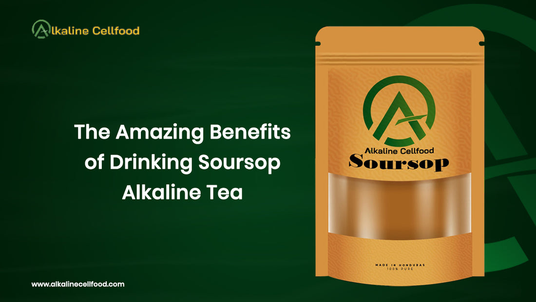 The Amazing Benefits of Drinking Soursop Alkaline Tea