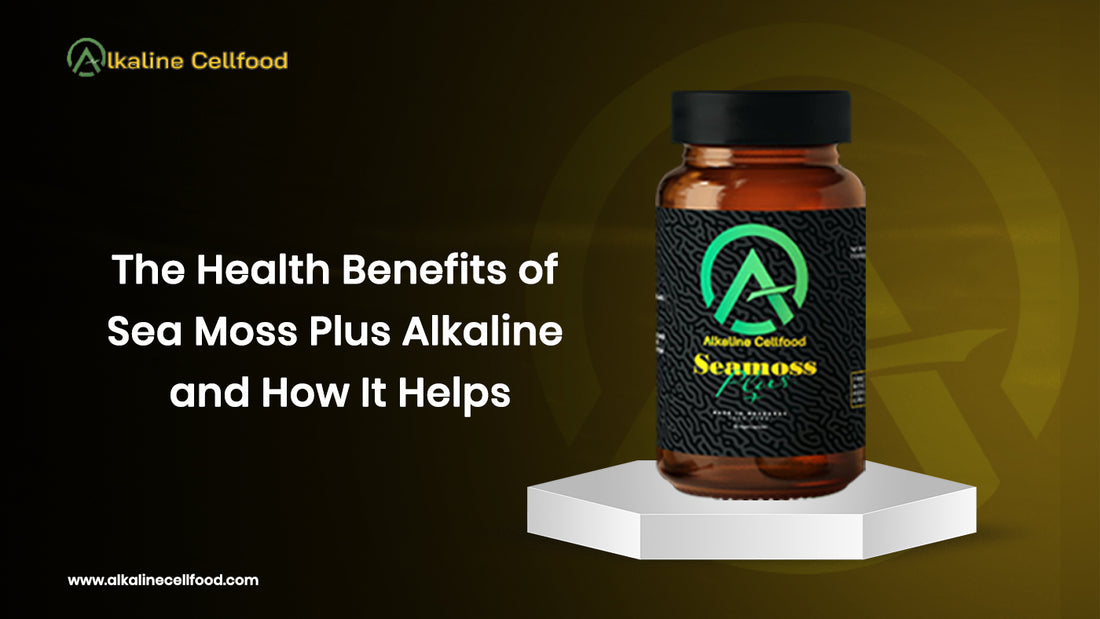 The Health Benefits of Dr Sebi Sea Moss Plus Alkaline and How It Helps