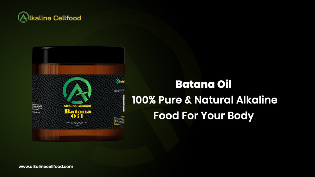 Batana Oil: 100% Pure & Natural Alkaline Food For Your Body